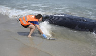 La campaña de socorrismo se cierra con 673 asistencias en las playas ferrolanas