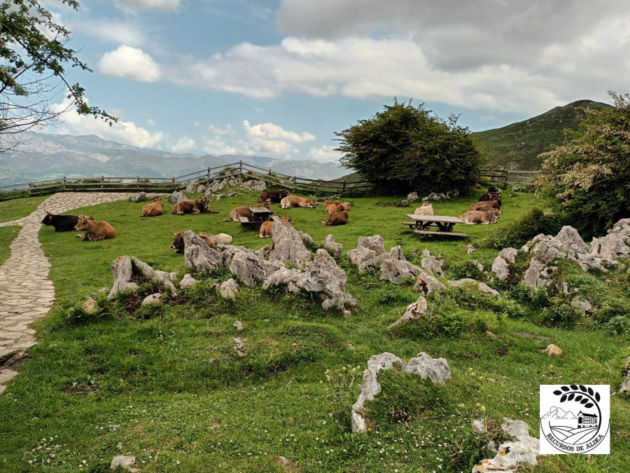 Nace Recursos de Aldea, una nueva asociación relacionada con el rural de Ferrol, Eume y Ortegal