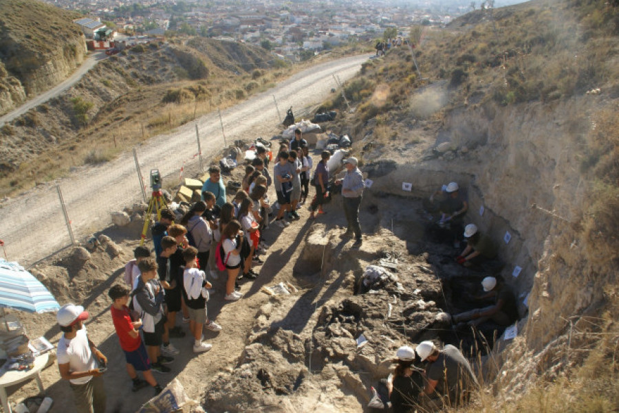 Hallan en Baza (Granada) restos del último cocodrilo que vivió en Europa