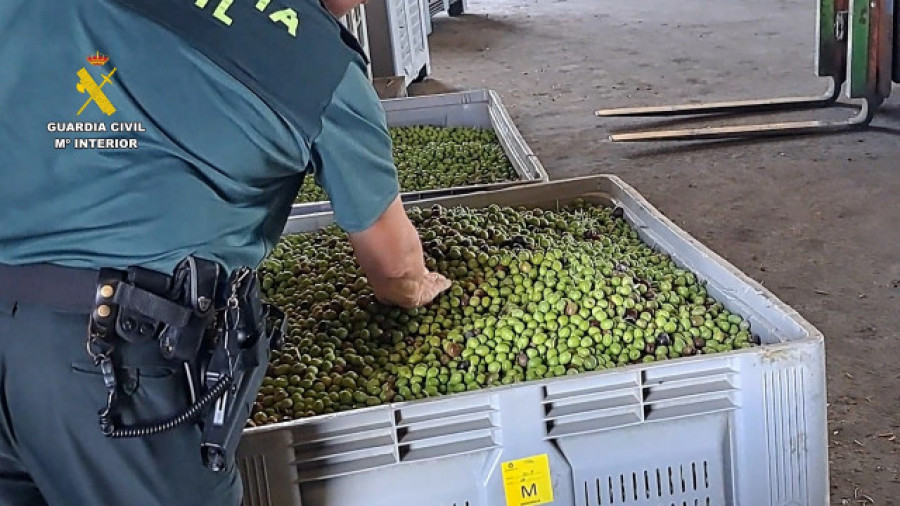 Intervenidas 91 toneladas de aceituna y 400 litros de aceite en Sevilla