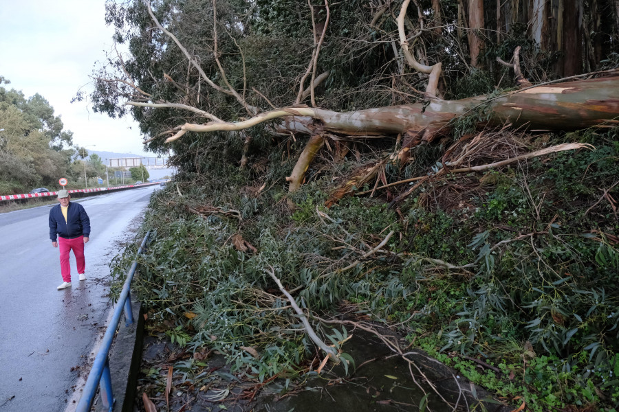 Ferrol continúa en alerta