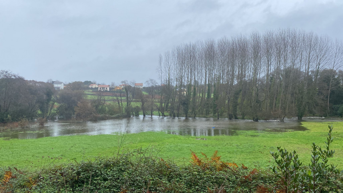 Finca yegua Valdoviu00f1o inundada