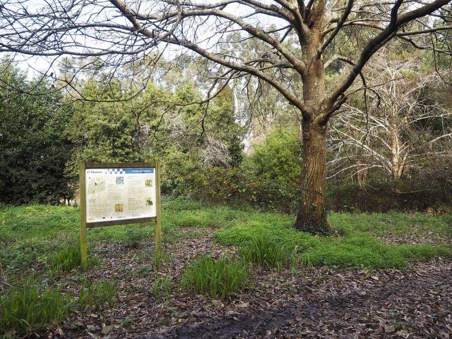 El parque del Montón inicia el camino de la recuperación como espacio de disfrute