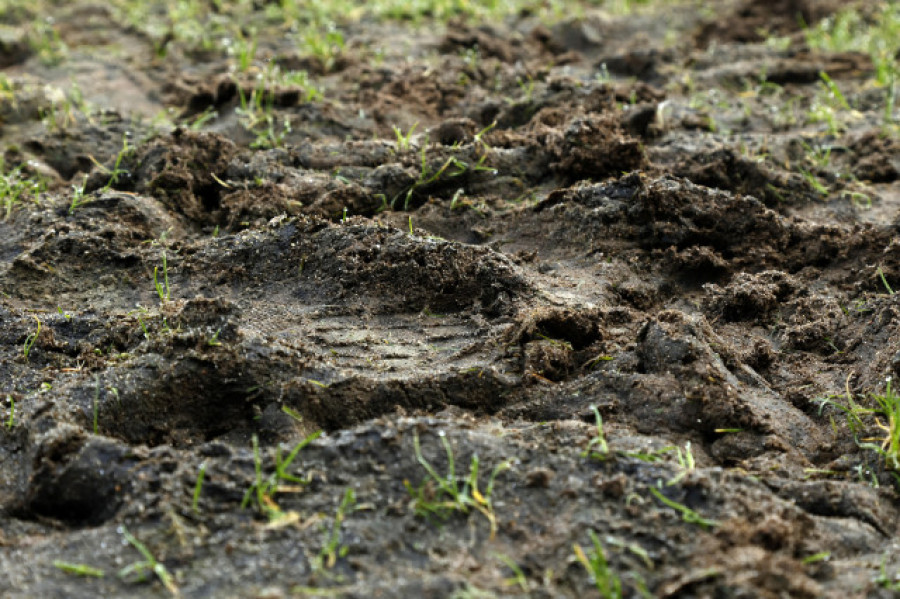 Césped bajo el barro en A Lomba