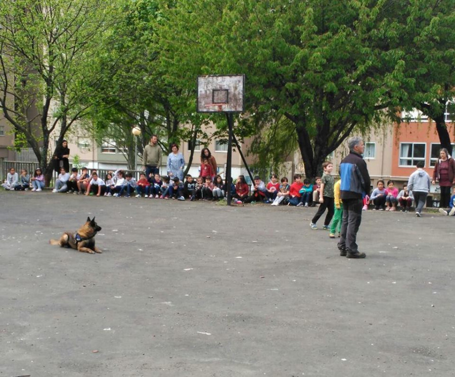 “Canvivindo”, el programa de Casaga que fomenta el amor por los animales