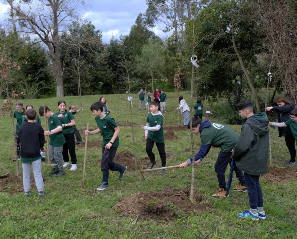 Plantacion arboles parque Freixeiro Naron