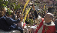 Domingo de Ramos, Cofradía de Dolores