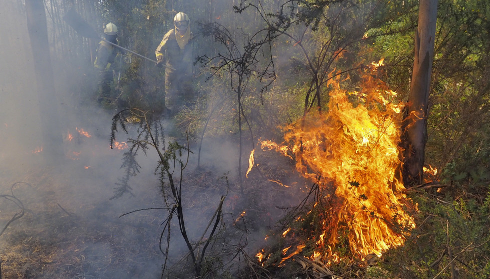 Incendio forestal en Magalofes Fene (11)