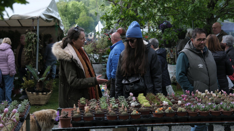 El tiempo acompañó para disfrutar de la Feira da Plantación de San Sadurniño