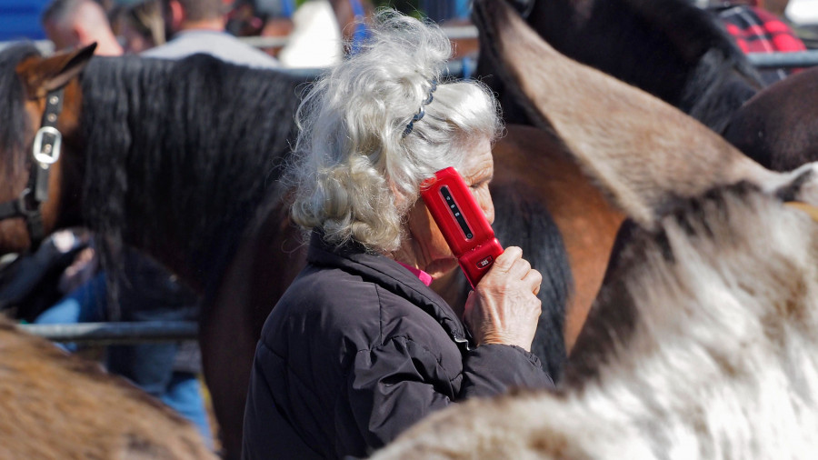 Cámara viajera en Moeche | La mujer que susurra a los caballos