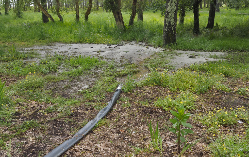 Preocupación vecinal por el vertido de aguas del alcantarillado al pinar de A Magdalena, en Cabanas