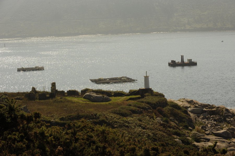 Mar autoriza por primera vez la apertura de la batea de San Carlos en verano