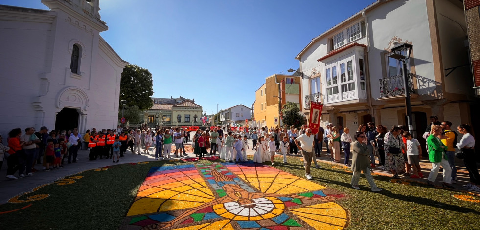 Alfombras florales de Ares