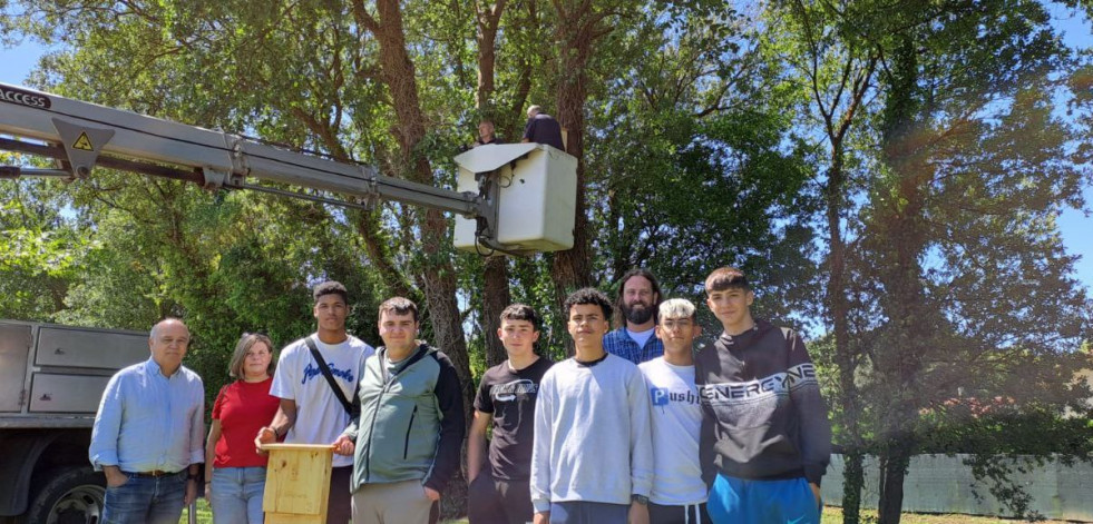 Medio centenar de casetas para murciélagos en Narón para aumentar la biodiversidad