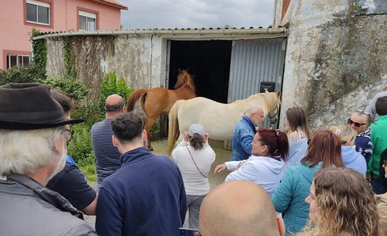 Posponen el desahucio de un vecino de Ares y los más de veinte animales de su propiedad