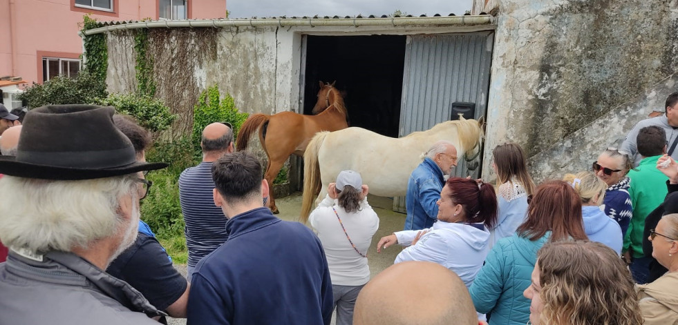 Posponen el desahucio de un vecino de Ares y los más de veinte animales de su propiedad