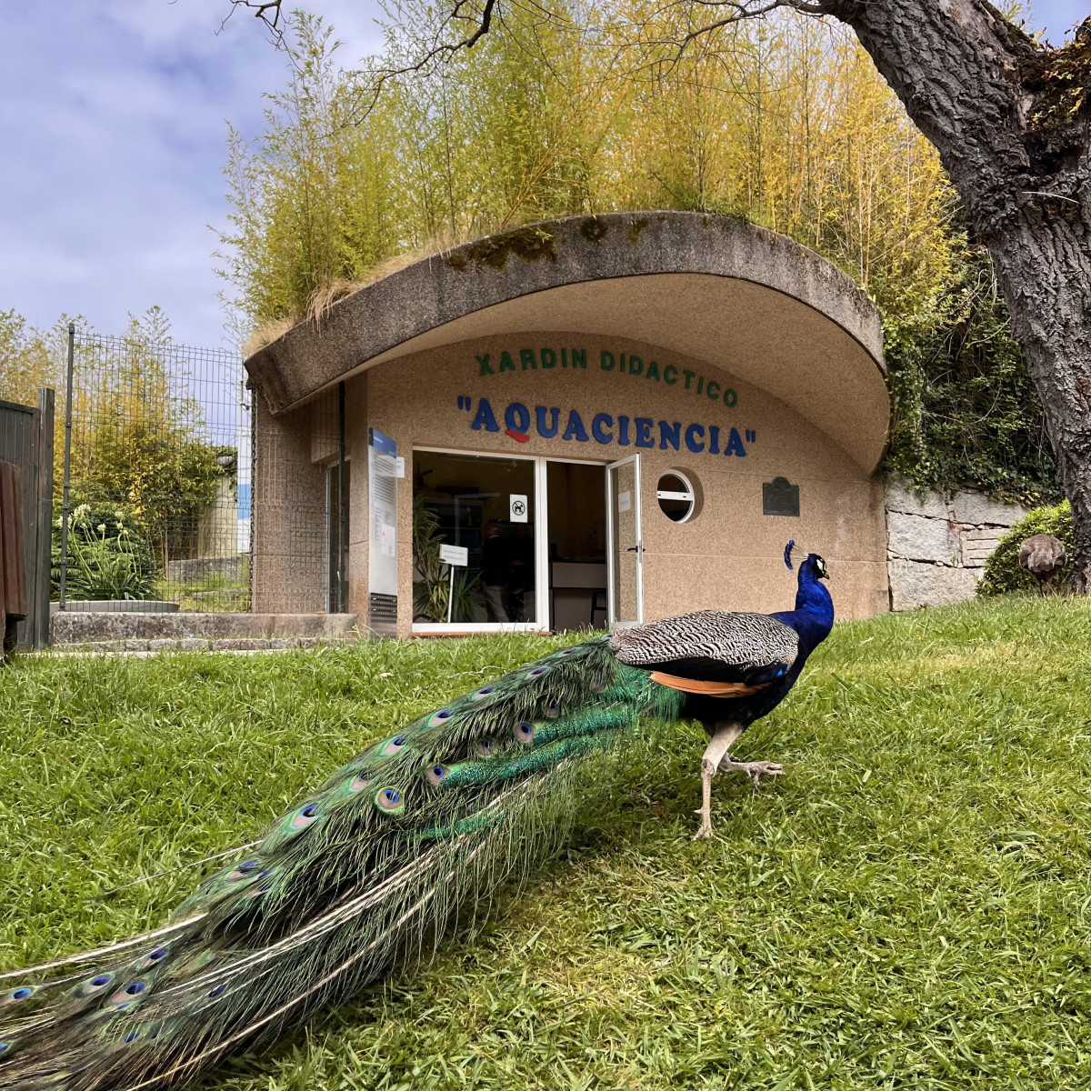 VISITA A AQUA CIENCIA ANTES DE SU ARREGLO (40)