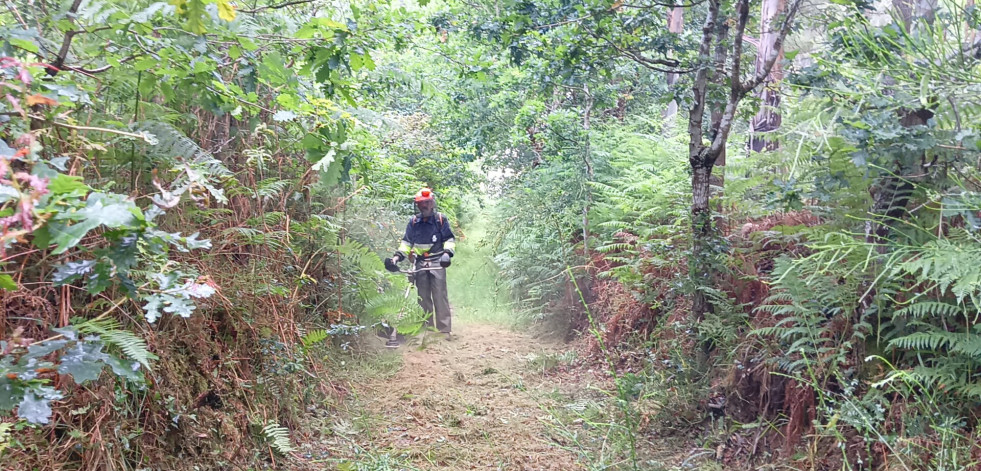 Fene trabaja en la recuperación de caminos y pistas forestales