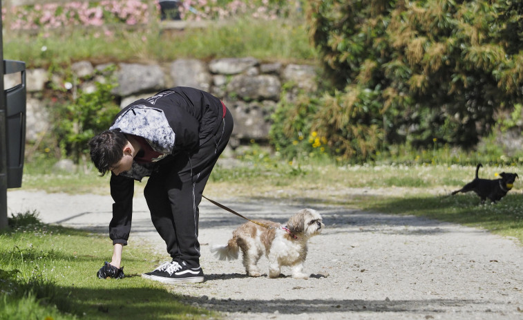 Los vecinos de Ferrol se plantan ante la proliferación de heces caninas por las calles