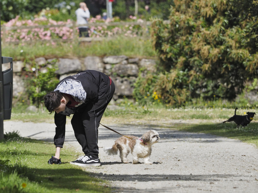 Los vecinos de Ferrol se plantan ante la proliferación de heces caninas por las calles