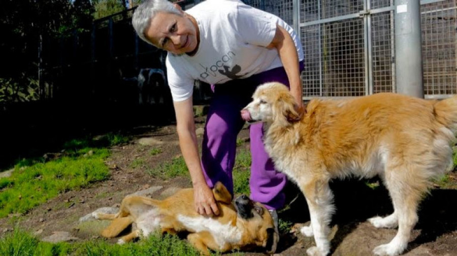 Beatriz Martín, presidenta de Gatocan: “Me gustaría pedir que dejemos de comprar animales por su raza o apariencia”