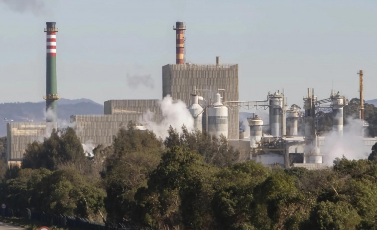 Ence impulsa la creación de un consorcio para el reciclaje químico