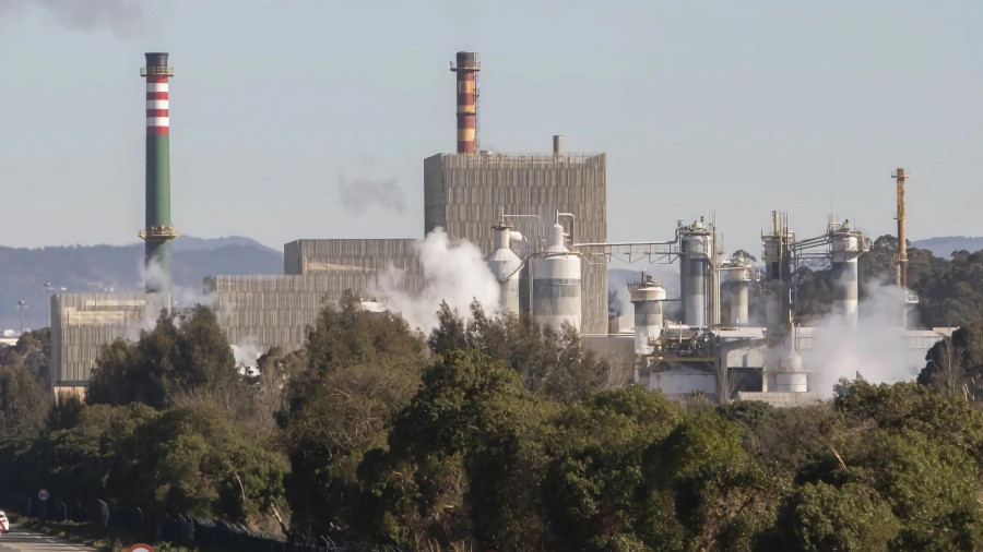 Ence impulsa la creación de un consorcio para el reciclaje químico