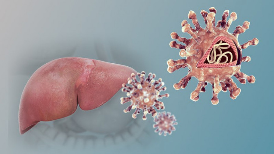Día Mundial contra la Hepatitis: ¿hasta qué punto la conocemos?