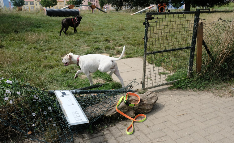 Los usuarios de los parques caninos de Ferrol denuncian el estado de abandono de estos espacios