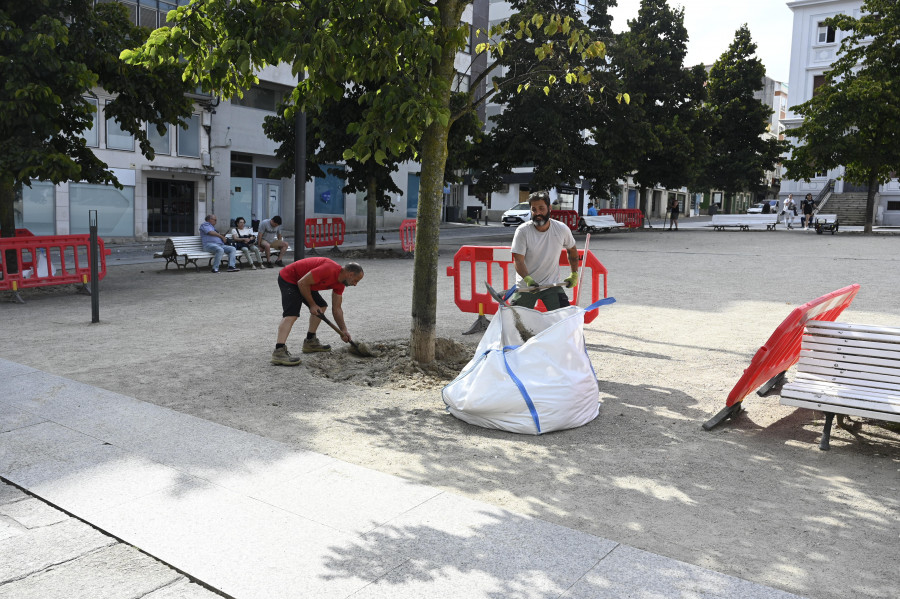 Comienzan las labores de construcción de los alcorques para los tilos de la plaza de Armas