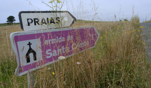 La maleza invade las cunetas en la zona rural de Ferrol