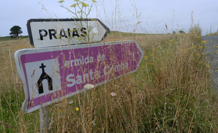 La maleza invade las cunetas en la zona rural de Ferrol