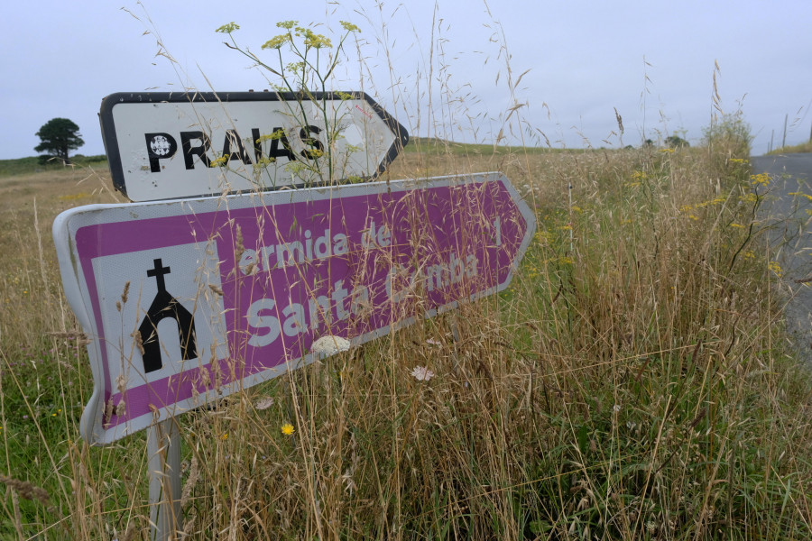 Paralizados los desbroces del rural  a causa de la empresa adjudicataria