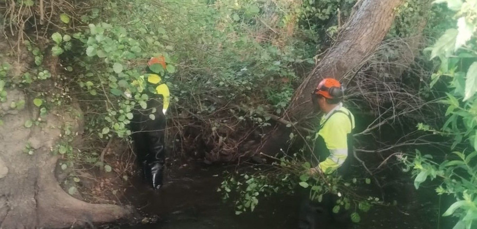 Labores autonómicas de limpieza en un arroyo de la parroquia valdoviñesa de Meirás