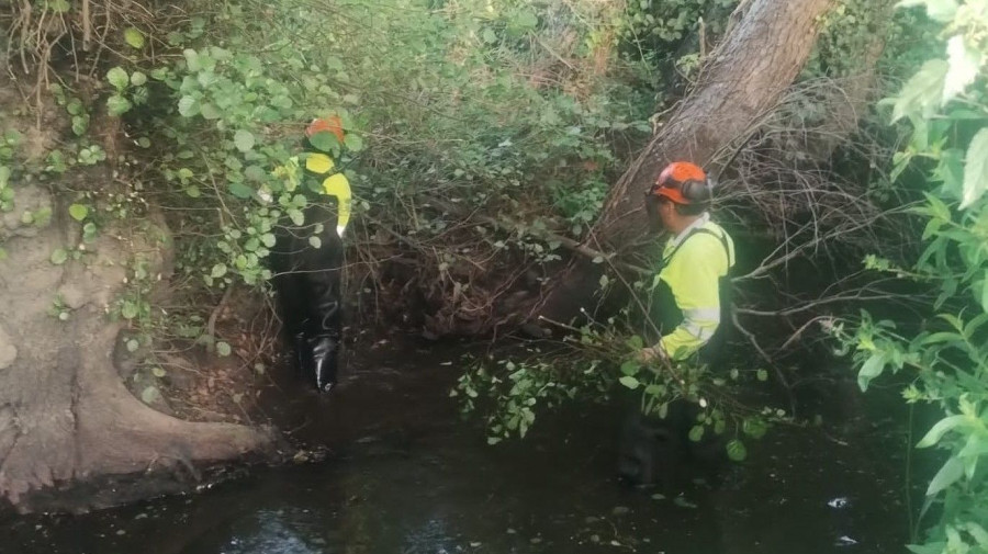 Labores autonómicas de limpieza en un arroyo de la parroquia valdoviñesa de Meirás