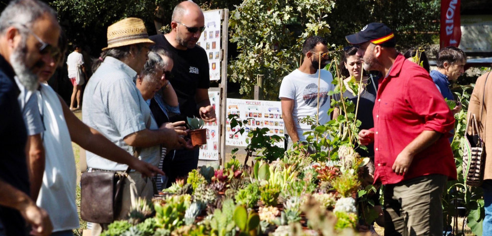 Cerca de 80 puestos participarán este fin de semana en la XV Feira Rural de San Sadurniño