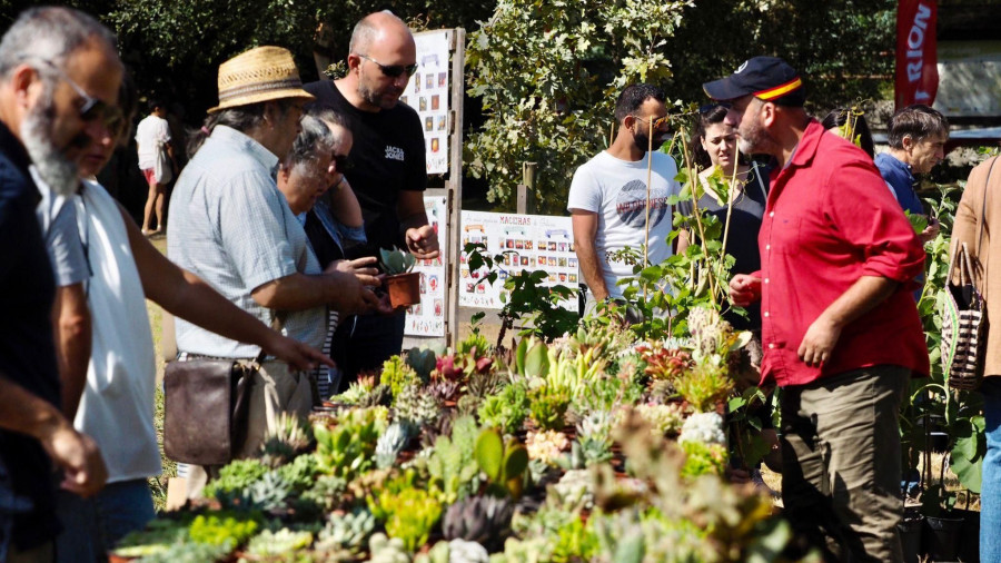 Cerca de 80 puestos participarán este fin de semana en la XV Feira Rural de San Sadurniño