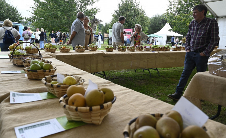 Agro e sostenibilidade foron da man na décimo quinta edición da Feira Rural de San Sadurniño