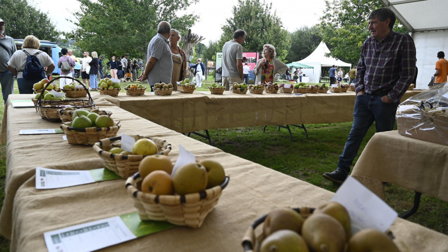 Agro e sostenibilidade foron da man na décimo quinta edición da Feira Rural de San Sadurniño