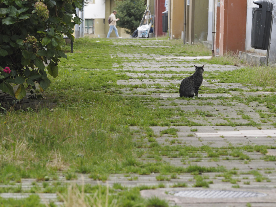 La falta de mantenimiento en Recimil desata las críticas de los vecinos