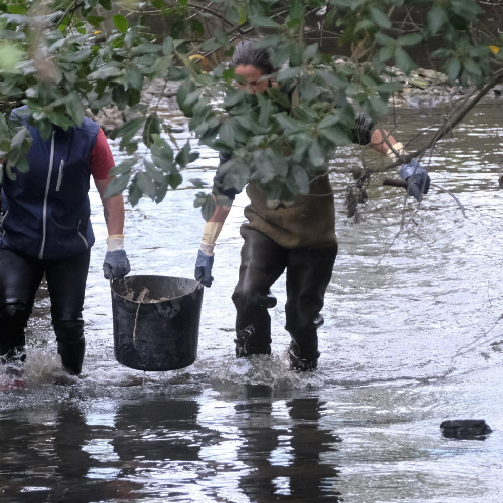 Los vecinos de la comarca se volcaron en la XVII Limpieza Simultánea de Ríos