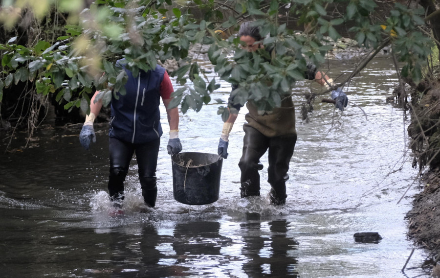 Los vecinos de la comarca se volcaron en la XVII Limpieza Simultánea de Ríos