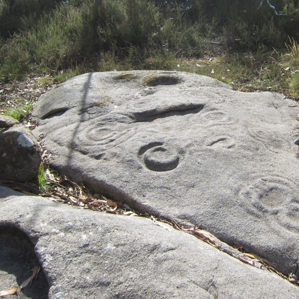 Petroglifos en Monfero: un viaje a través del tiempo tallado en piedra