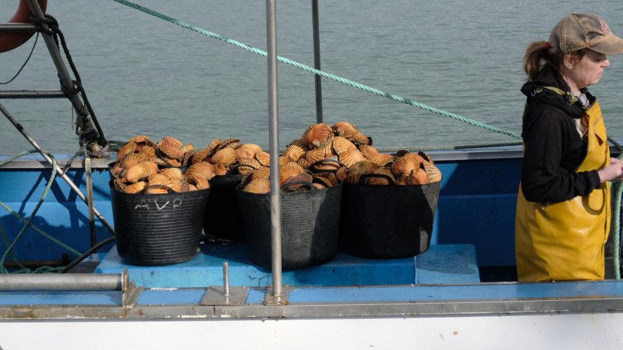 La cofradía de Barallobre, presente en San Sebastián Gastronomika que empieza este lunes