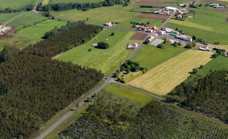 Santa Mariña do Monte, en San Sadurniño, honrará al espíritu vegetal de San Loureiro el próximo 12 de octubre