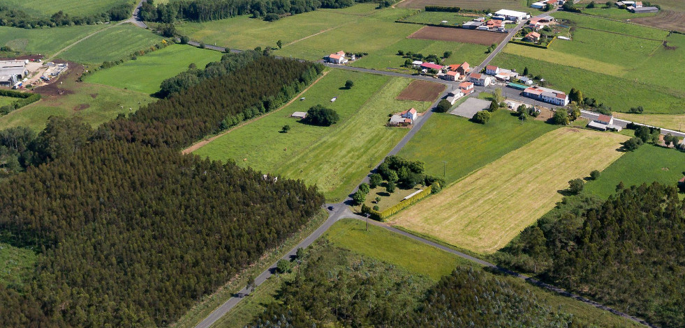 Santa Mariña do Monte, en San Sadurniño, honrará al espíritu vegetal de San Loureiro el próximo 12 de octubre