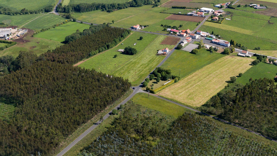 Santa Mariña do Monte, en San Sadurniño, honrará al espíritu vegetal de San Loureiro el próximo 12 de octubre