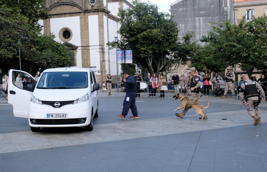 La unidad canina del Tercio Norte encandila a niños y mayores en la plaza de Amboage