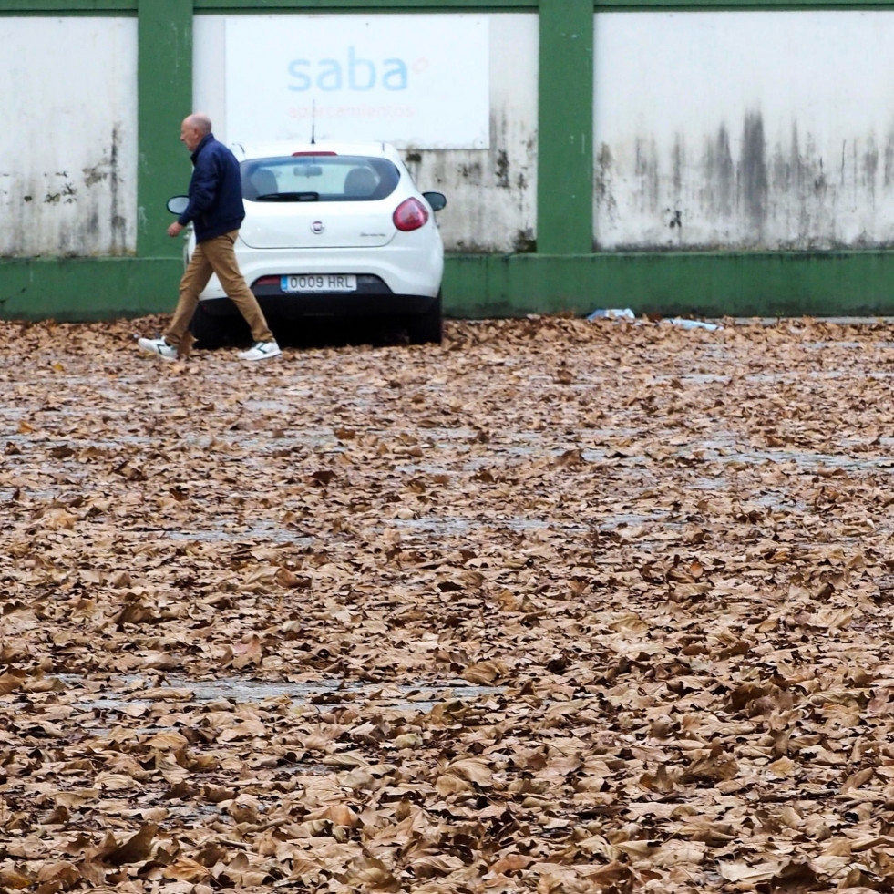 Quejas vecinales | Los sopladores de hojas en Ferrol