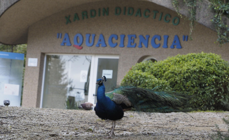 Las obras en Aquaciencia empezarán 